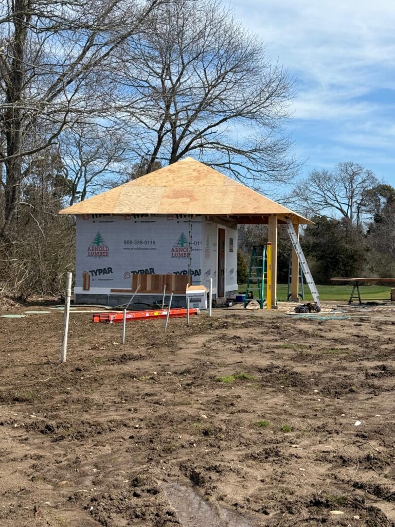 2025_11_24_12_37_IMG_8341